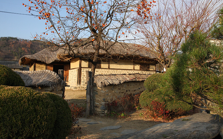 ������ ����